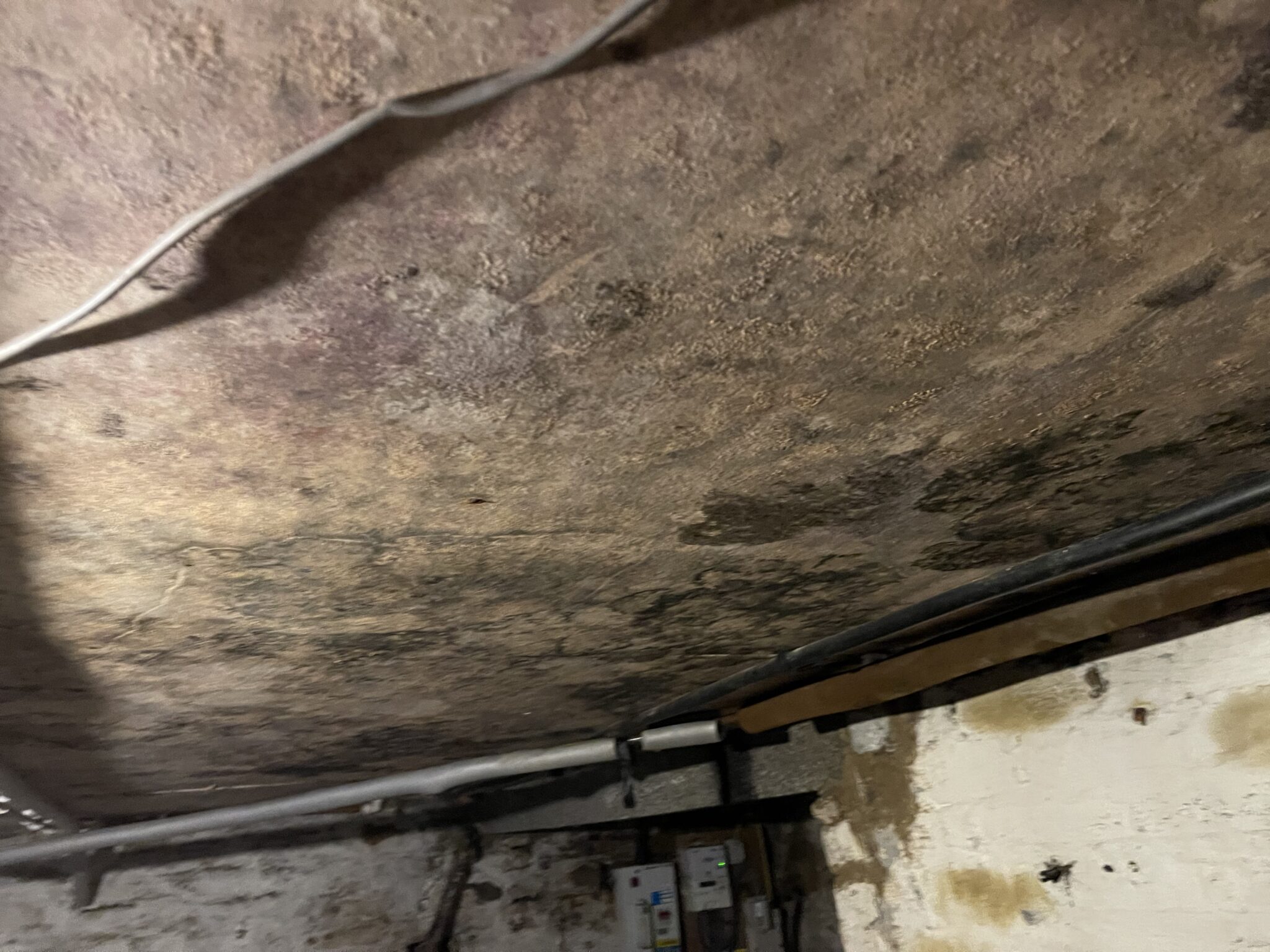 Ceiling Mould Removal The Homeowner’s Guide Northern Restorations