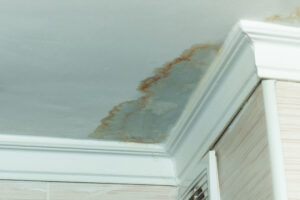 Water Damage Restoration by Northern Cleaning Solutions